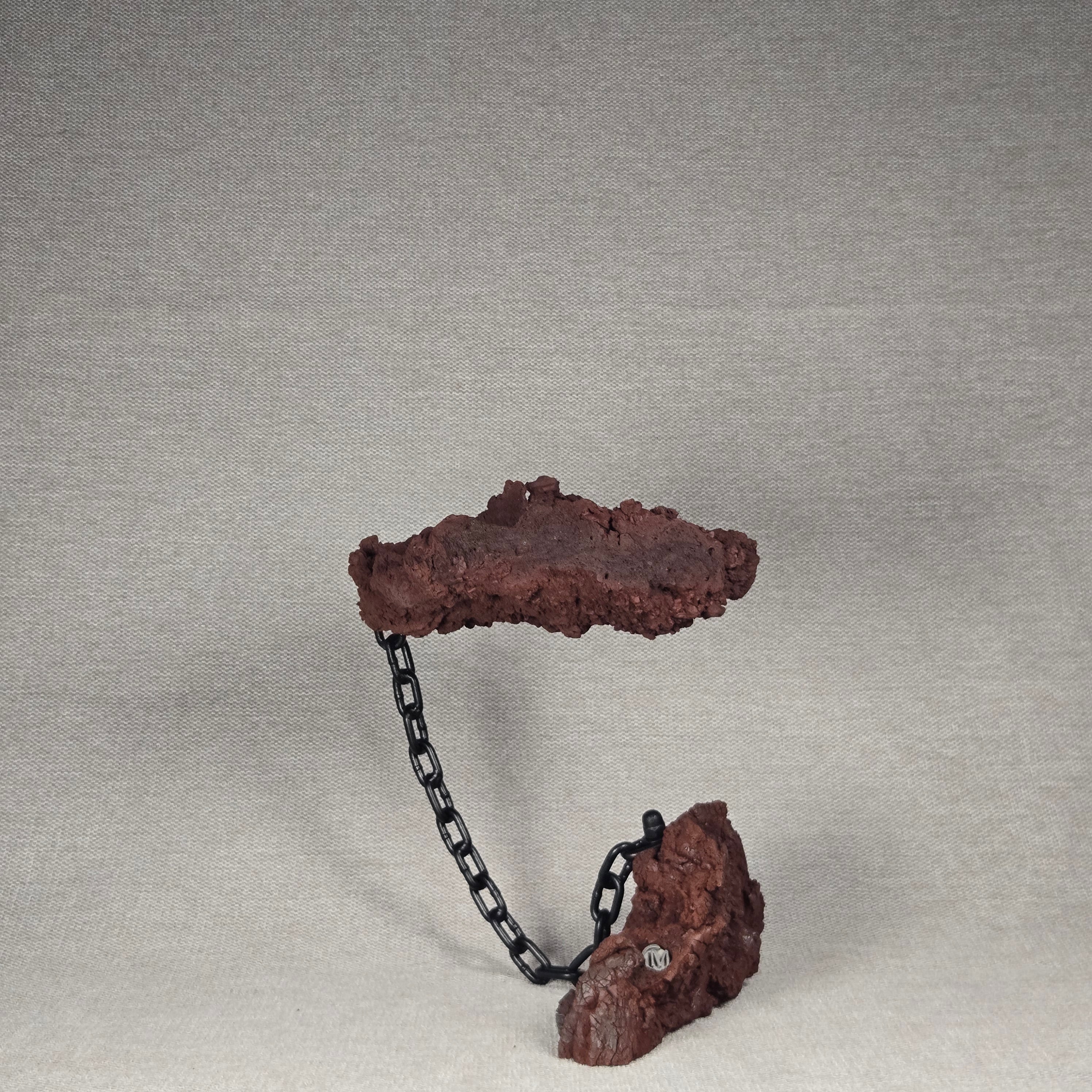 Roche en l'air 016 avec Ficus