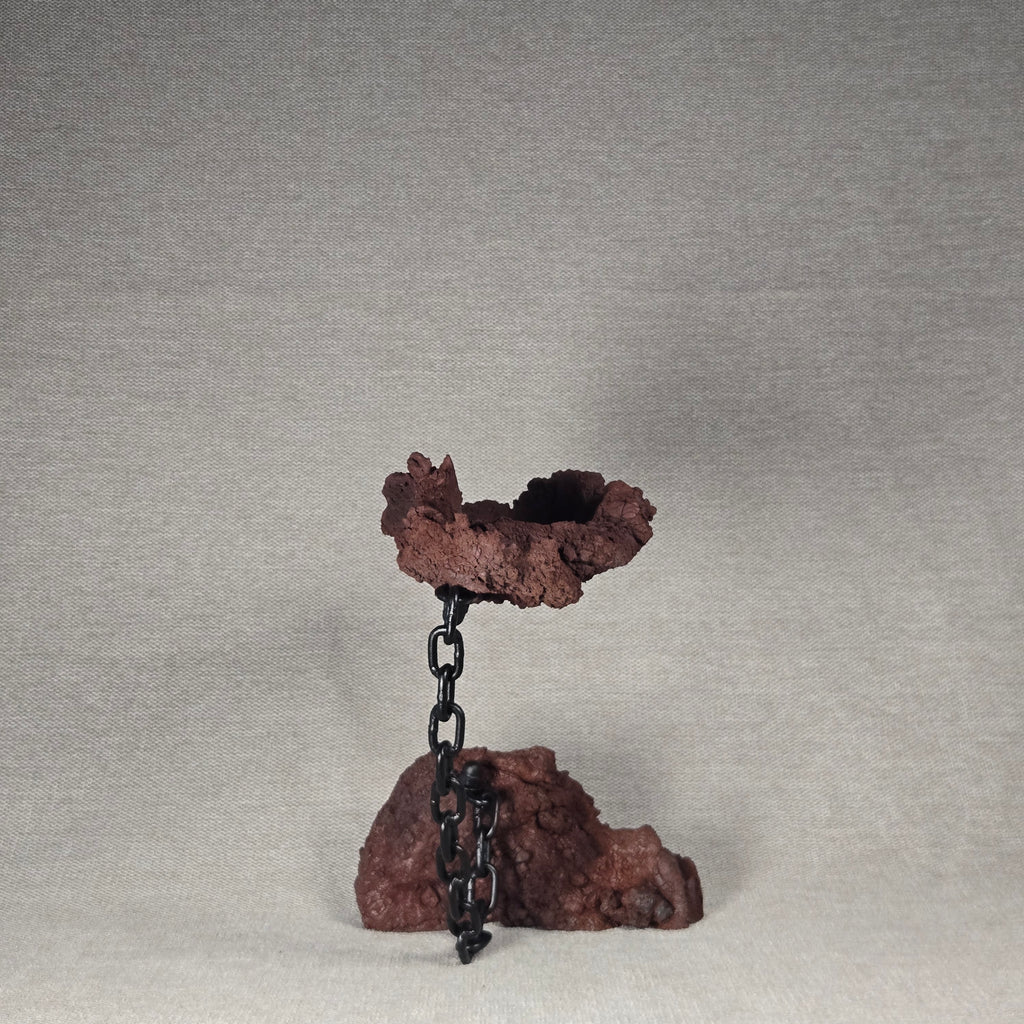 Roche en l'air 016 avec Ficus