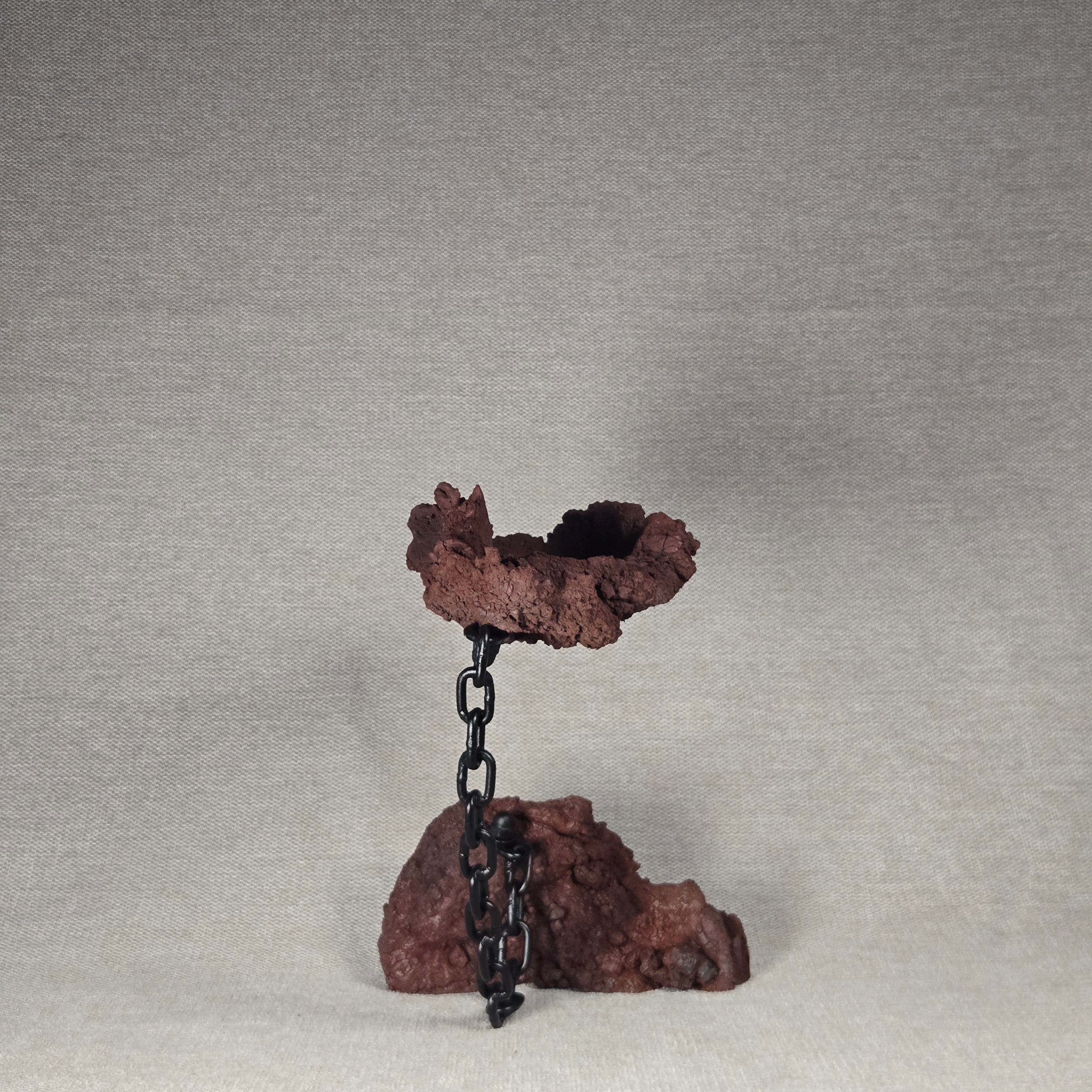 Roche en l'air 016 avec Ficus