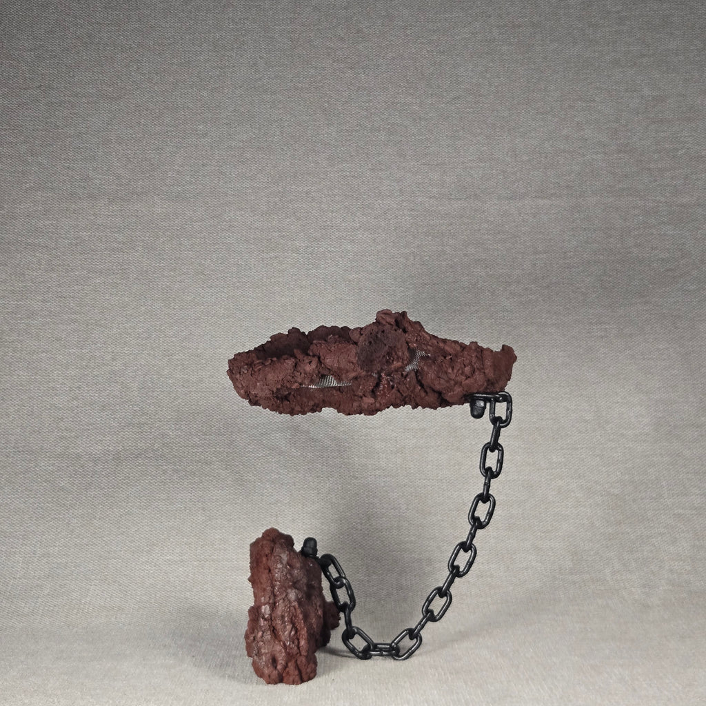 Roche en l'air 016 avec Ficus