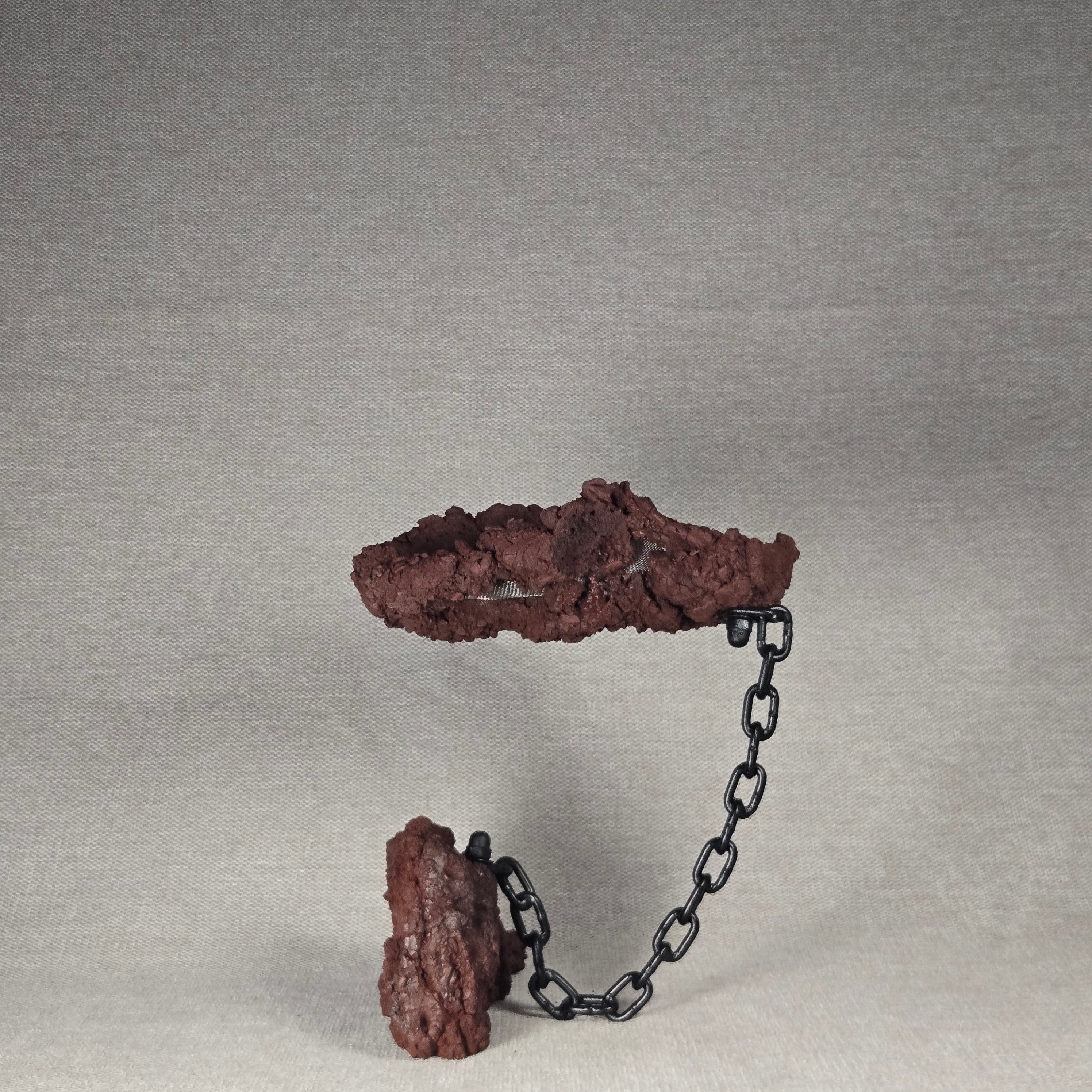 Roche en l'air 016 avec Ficus