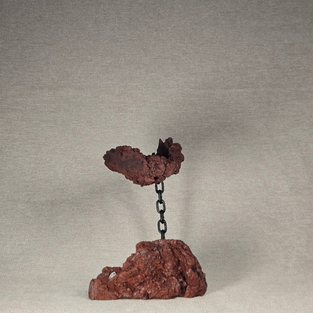 Roche en l'air 016 avec Ficus