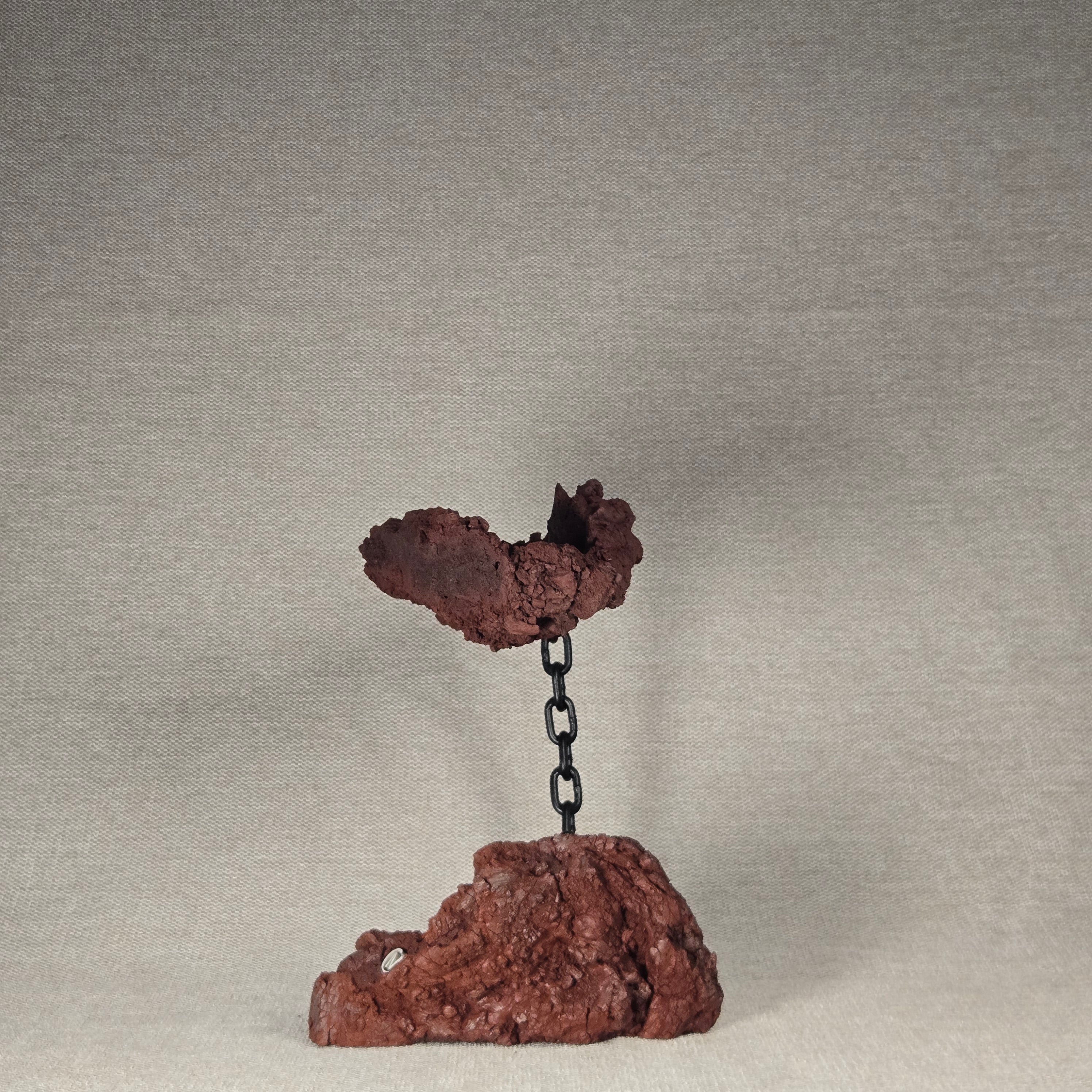 Roche en l'air 016 avec Ficus