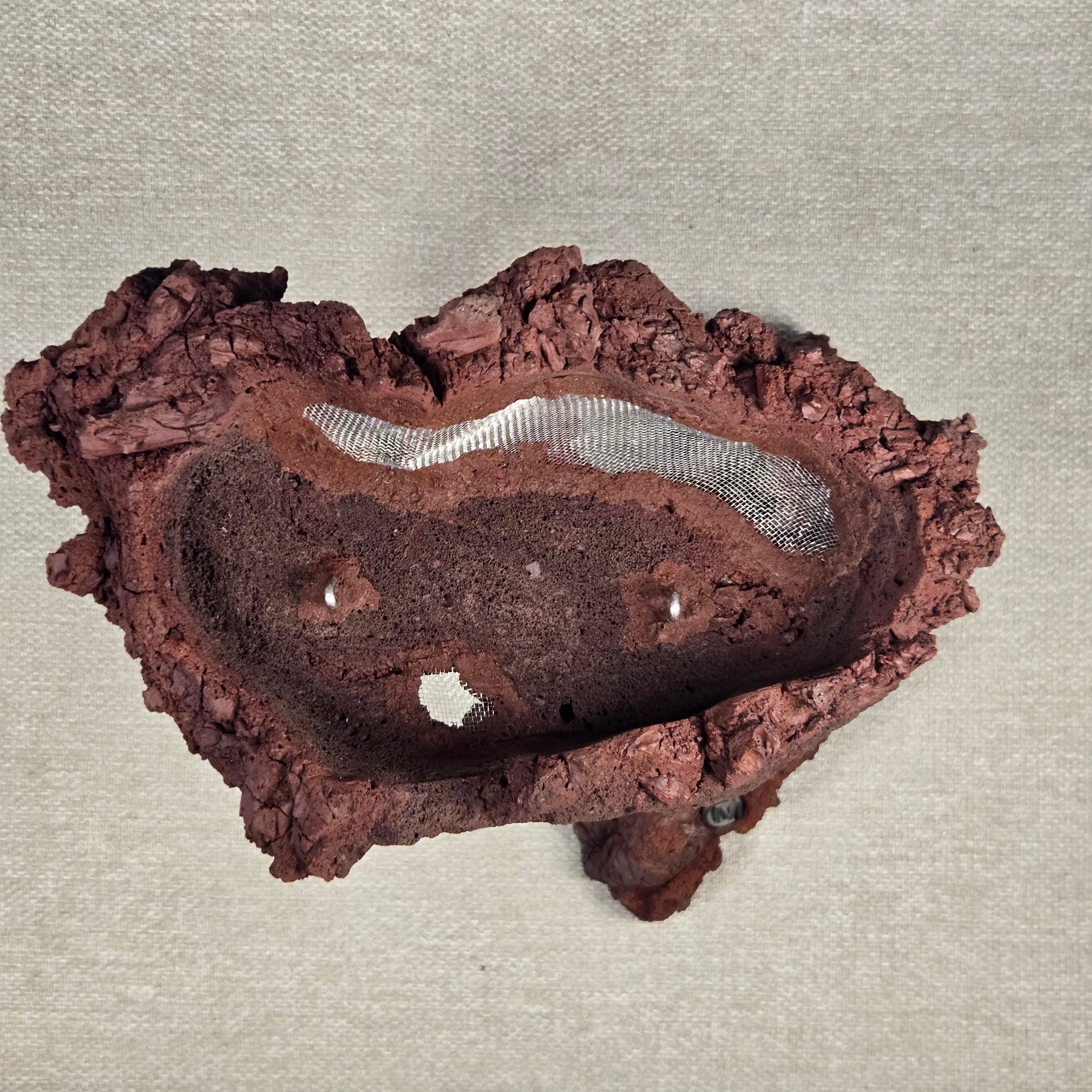 Roche en l'air 016 avec Ficus