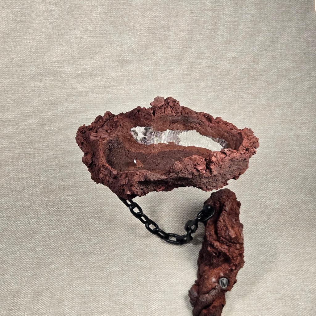 Roche en l'air 016 avec Ficus