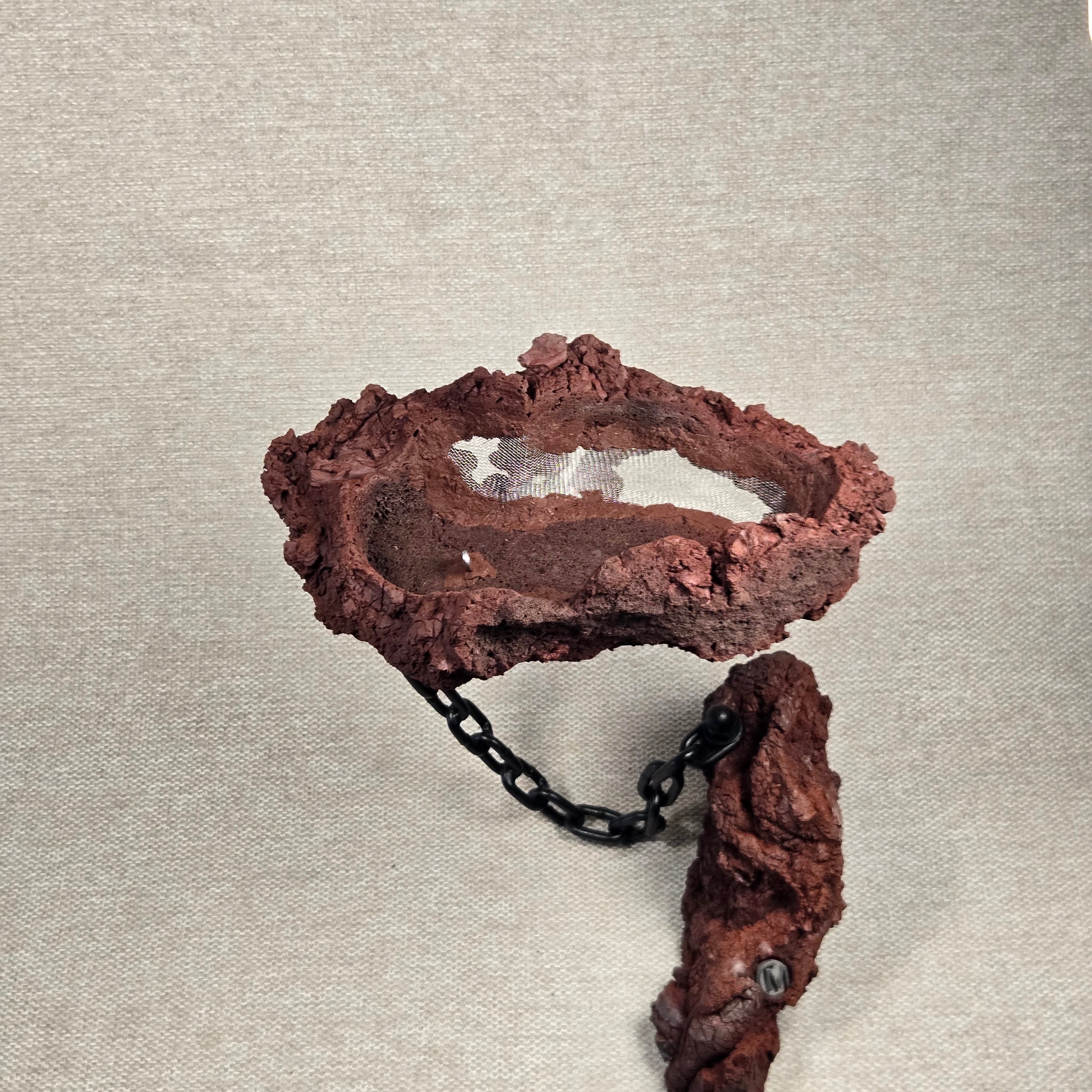 Roche en l'air 016 avec Ficus