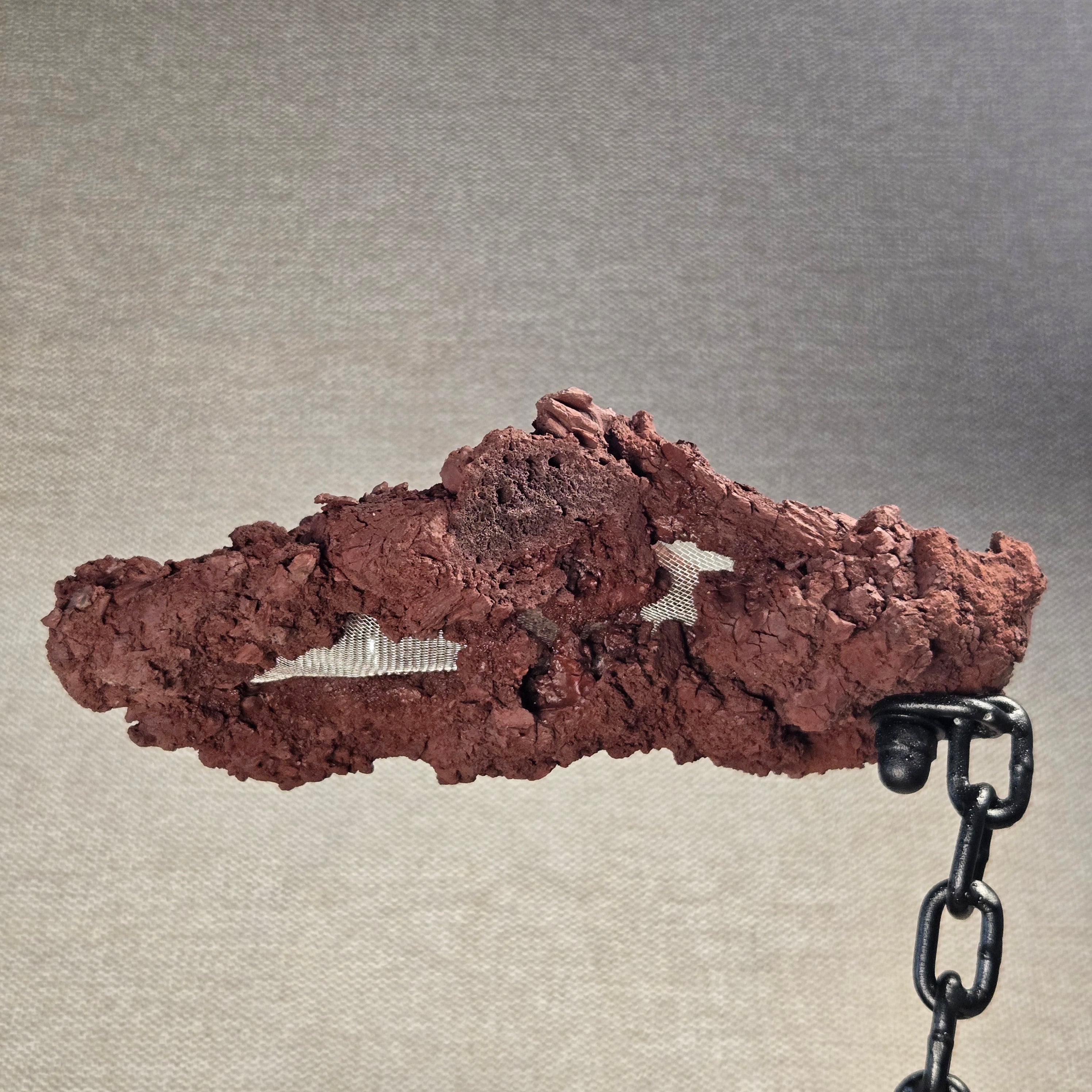 Roche en l'air 016 avec Ficus