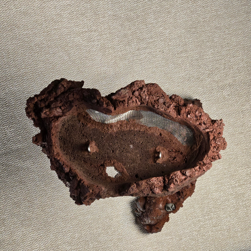 Roche en l'air 016 avec Ficus