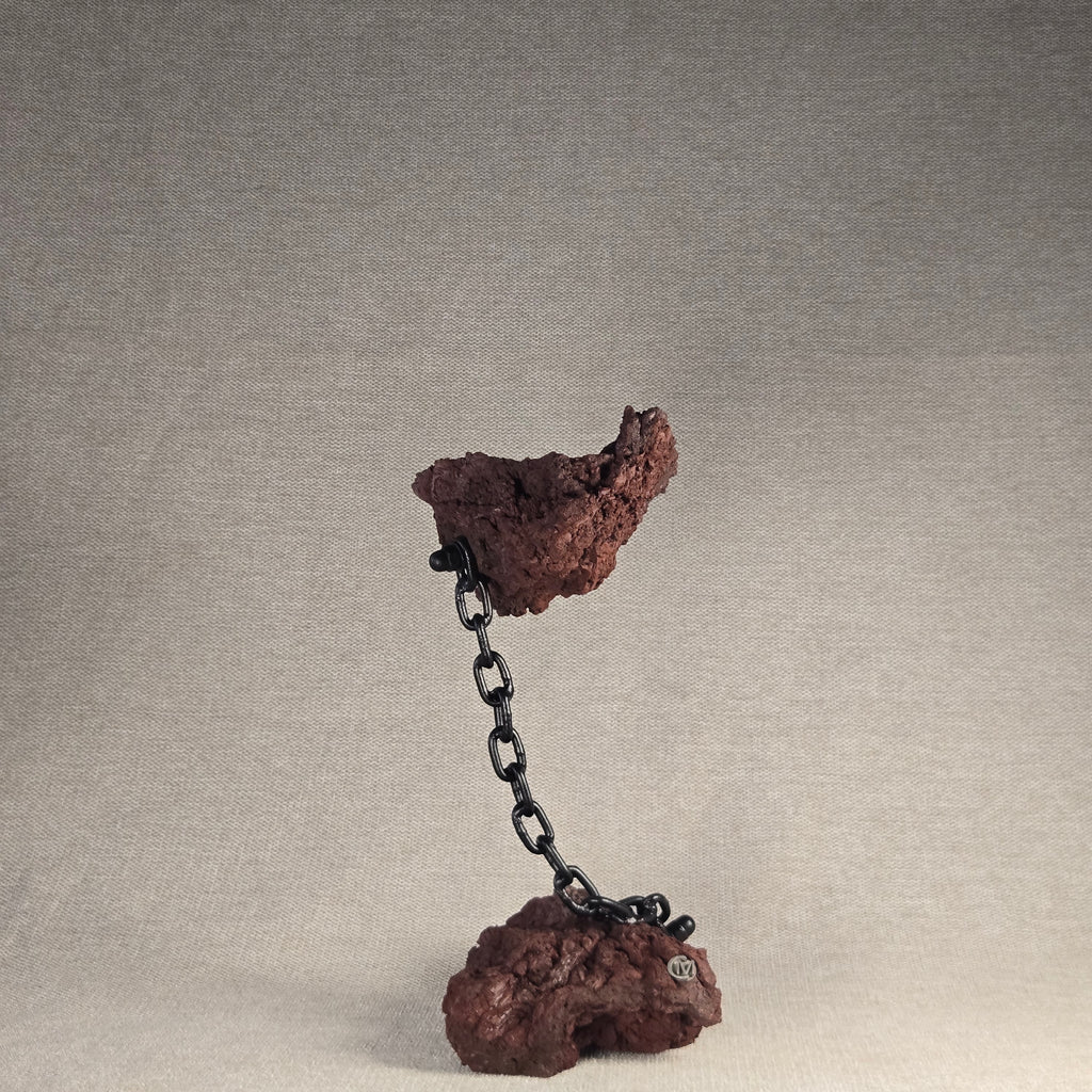 Roche en l'air 017 avec azalée