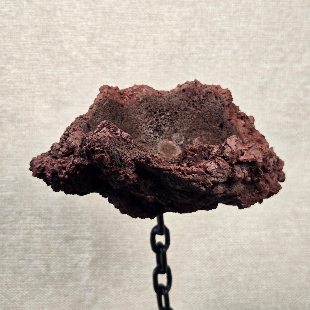 Roche en l'air 017 avec azalée