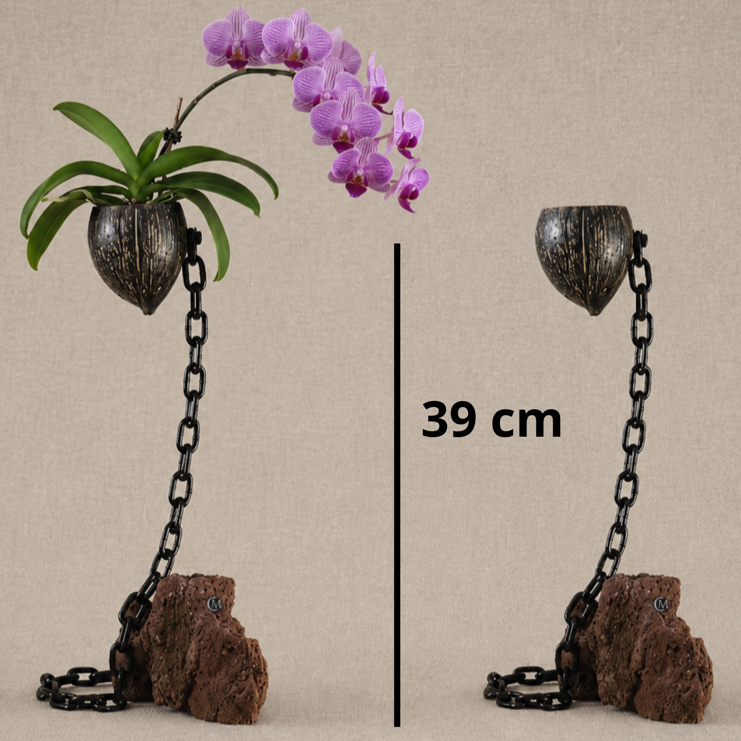 Plante en l'air 1