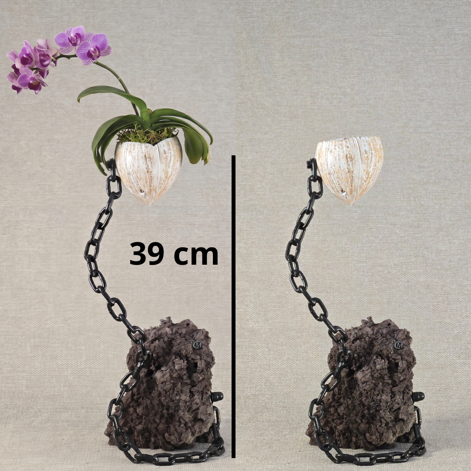 Plante en l'air 6