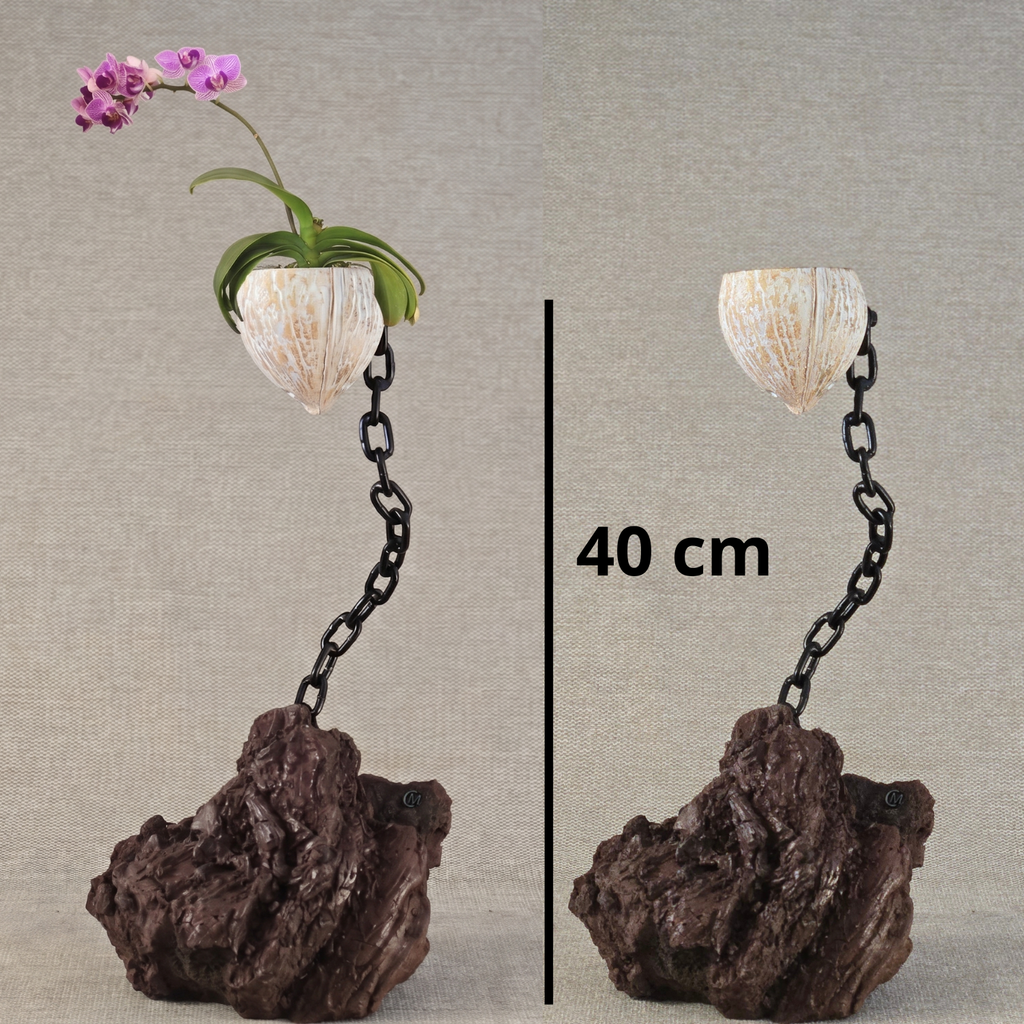Plante en l'air 3