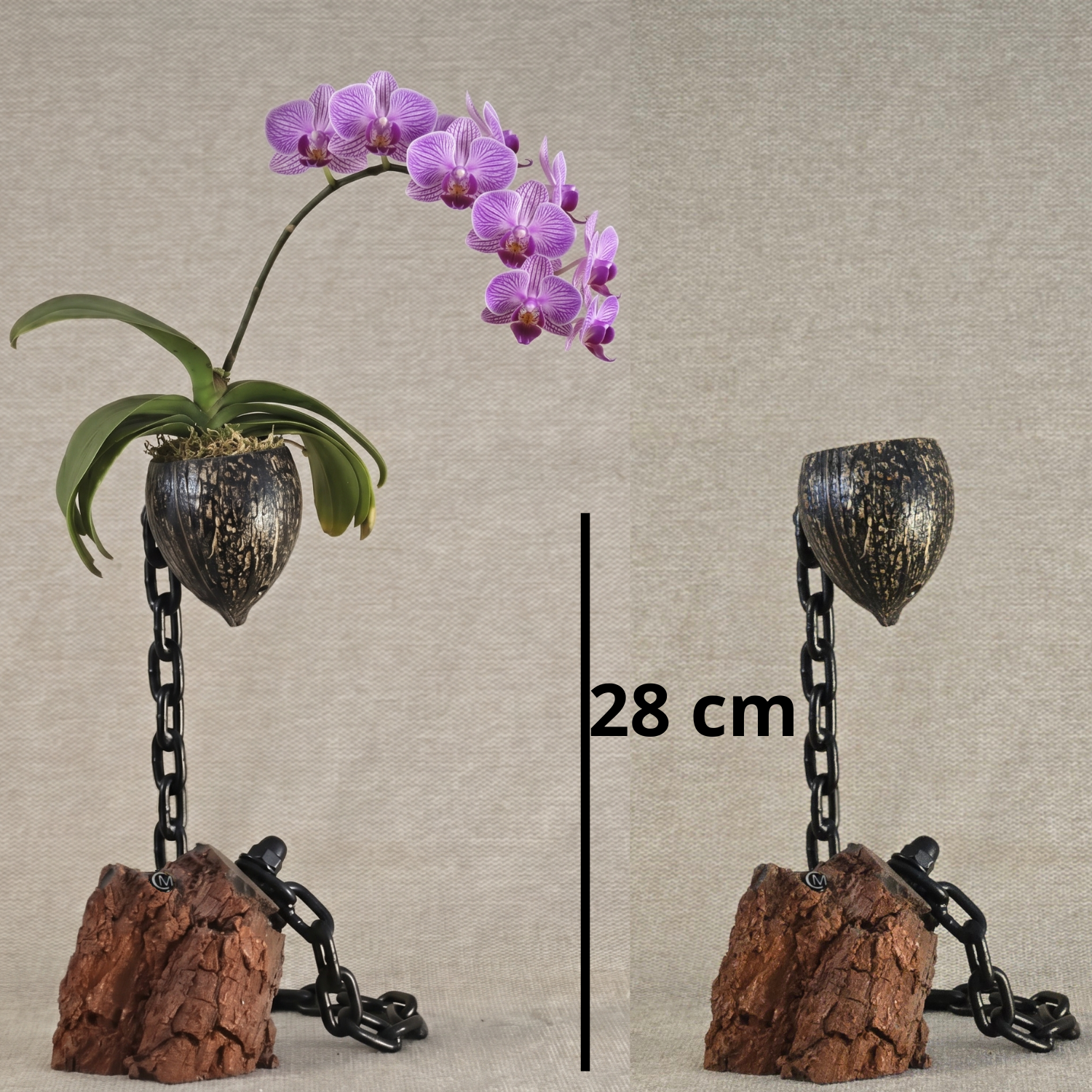 Plante en l'air 2